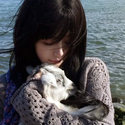 高雄发的尾班车